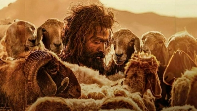 top-malayalam-blockbusters-to-watch-on-ott-amid-aadujeevitham-postponement-netflix-prime-video-hotstar-jiocinema